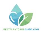 Best Plant Care Guide