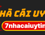 Nhà Đài 7NHACAIUYTIN