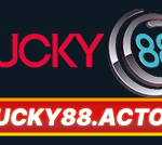 Nhà Đài Lucky88