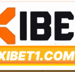 Nhà Đài XIBET