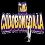 Trangcadobongda la