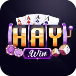 HAYWIN Không Gian Giải Trí