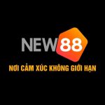 NEW88 – Cổng Xài Trọ Trực Tuyến